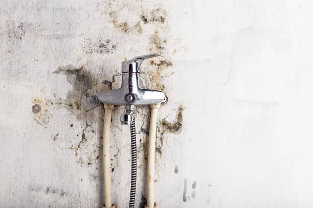 Best Professional Mold Removal  in Simpsonville, SC