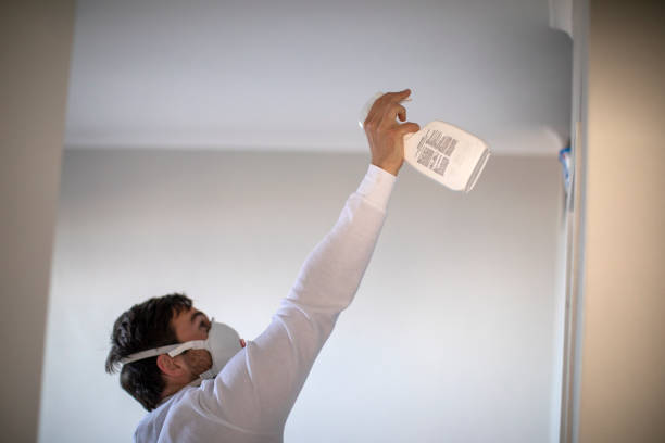 Best Affordable Mold Removal  in Simpsonville, SC