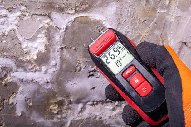 Best Crawl Space Mold Removal  in Simpsonville, SC