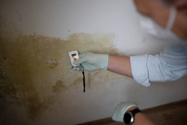 Best Office Mold Removal Services  in Simpsonville, SC