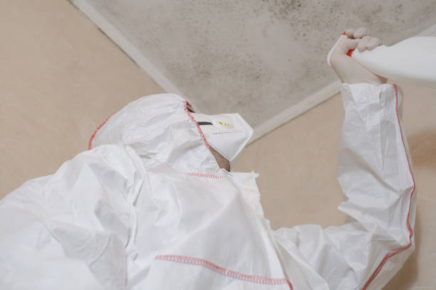 Best Mold Removal Process  in Simpsonville, SC