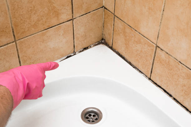 Best Black Mold Removal  in Simpsonville, SC